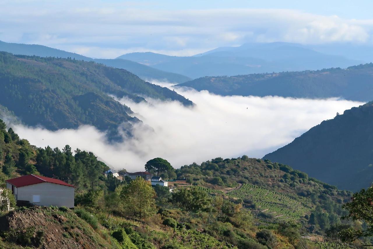 Вілла Casa Dodo Кастро-Кальделас Екстер'єр фото